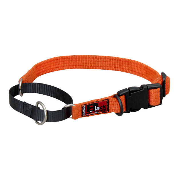 dog training collars