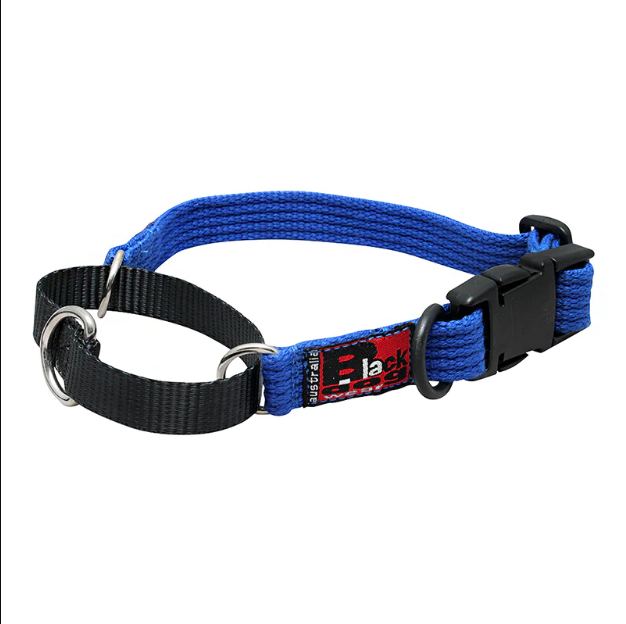 dog training collars