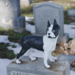 5 Crucial Reasons to Opt for Pet Cemetery