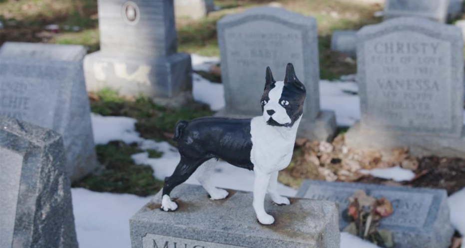 pet cemetery