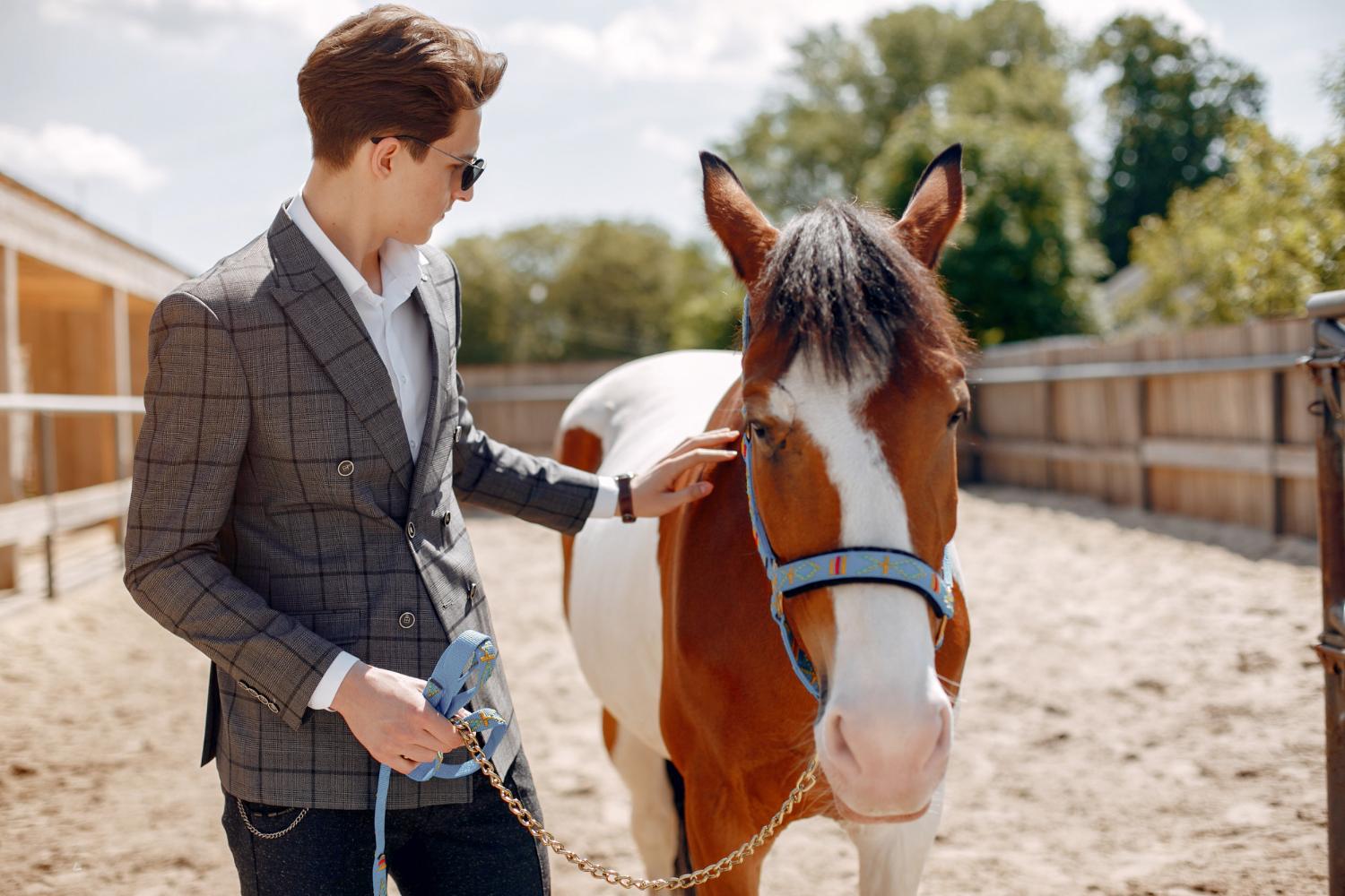 Horse Sales QLD