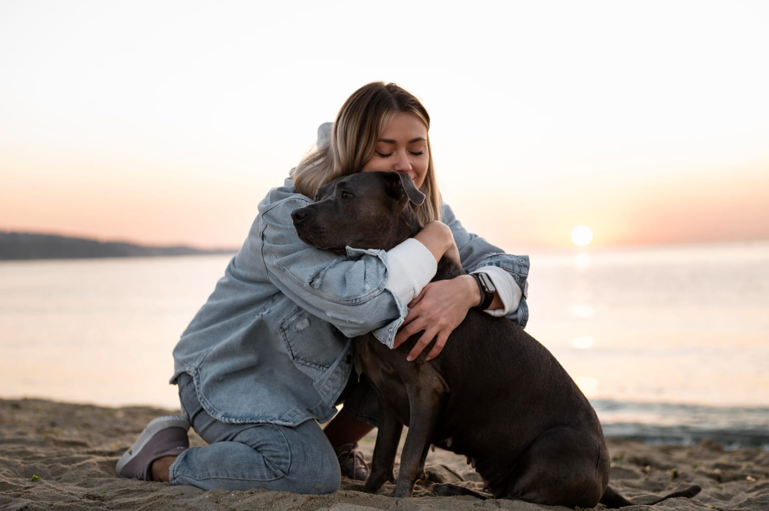pets in peace prices